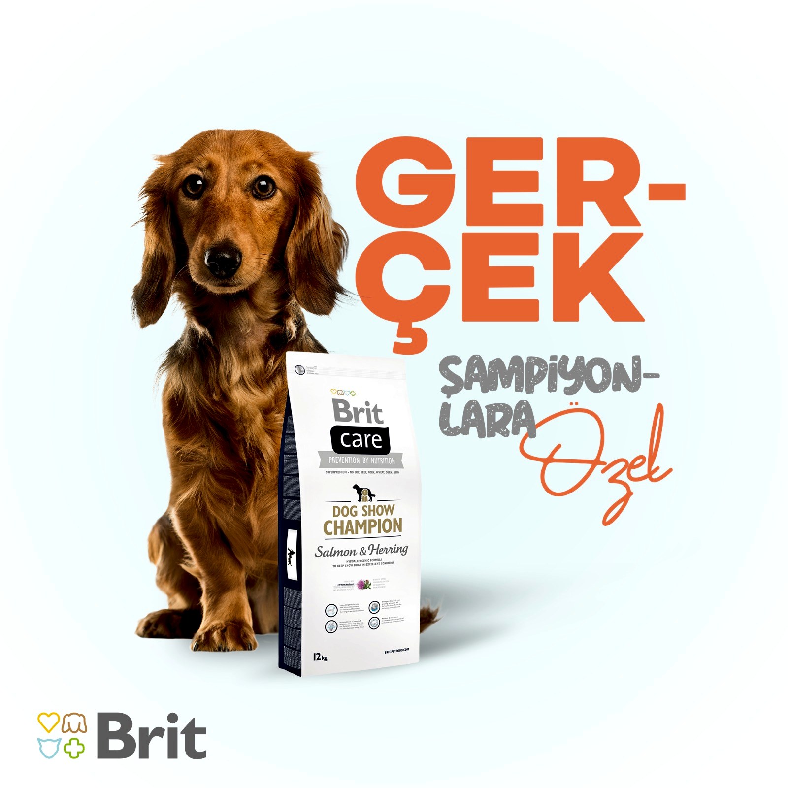Brit Care